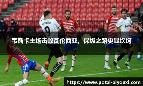 韦斯卡主场击败瓦伦西亚，保级之路更显坎坷