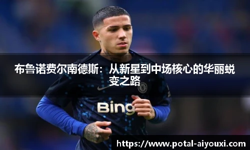 布鲁诺费尔南德斯：从新星到中场核心的华丽蜕变之路